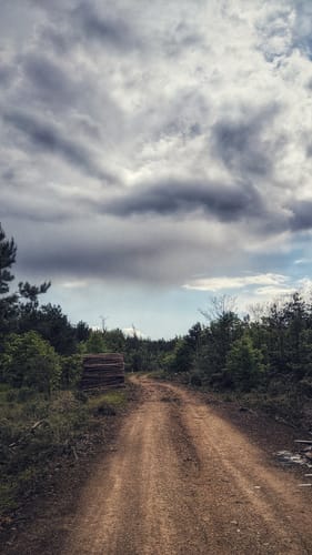 GC Trickfilmrunde Spremberg