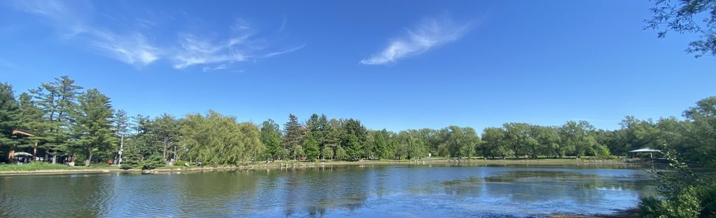 parc canin du Ruisseau-Clair