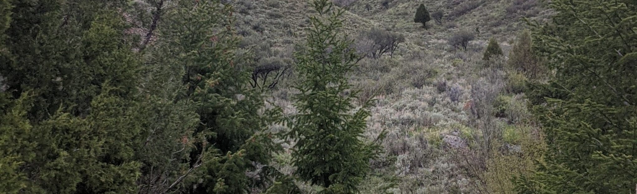 Sublette Shed Loop, Wyoming 17 Reviews, Map AllTrails