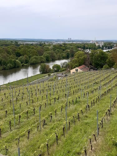 Mainblick, Mainleite und Schindturm