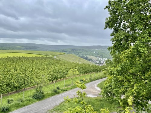 Birnen-Rundweg Lantershofen