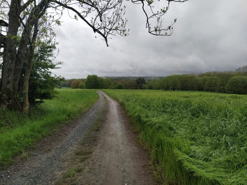 Naturpark-Weg Generalsblick