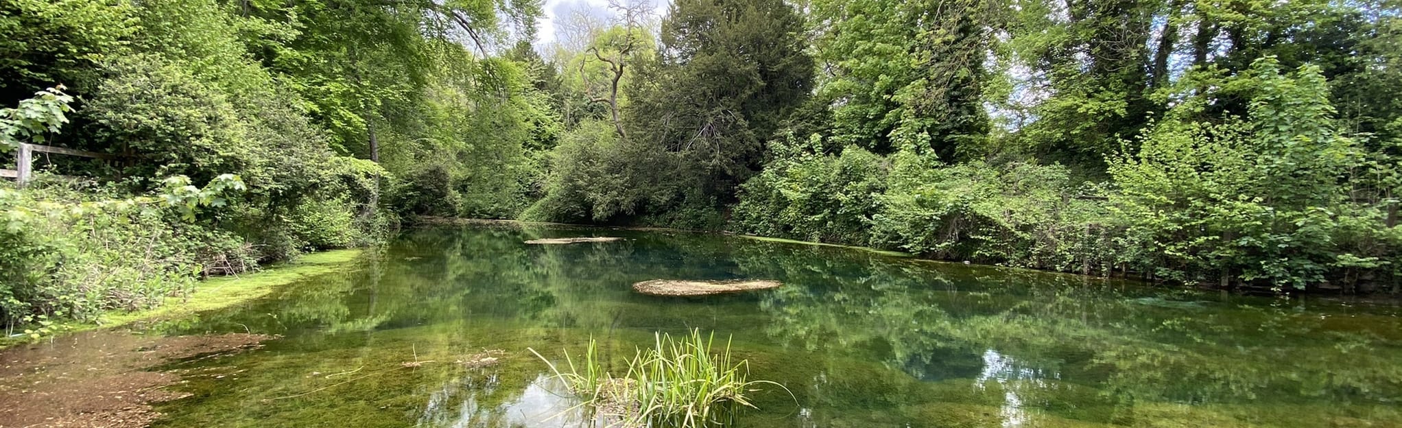 Silent Pool, Shere, Ponds Lane and Albury Circular, Surrey, England ...