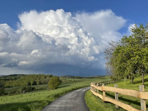 Rundweg A1 Rumscheider Femelinde (Dahl)