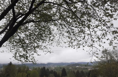 Rund um den Kornberg