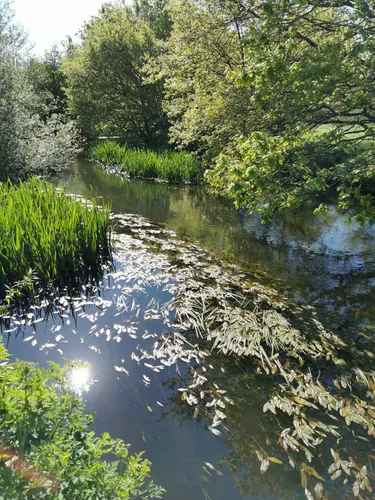 Best Hikes and Trails in Sandhurst Memorial Park | AllTrails