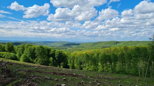 Griesberg-Schleife