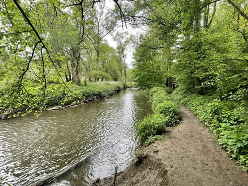 Nette-Schieferpfad (Traumpfad)