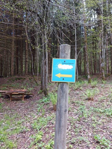 Klimaweg Sonnenalb