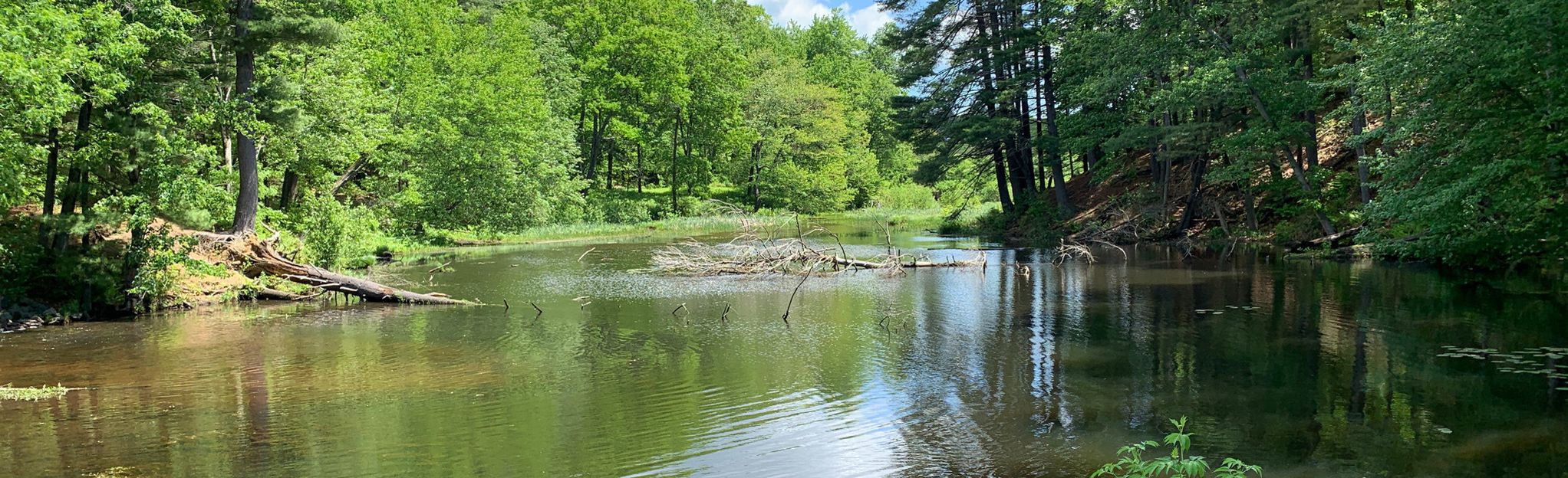 chicopee mountain bike trails