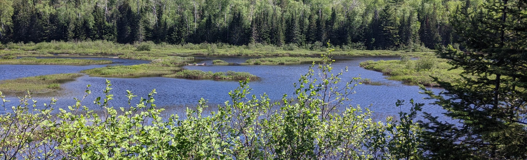 Sentier du Lacdel'Assomption 21 foto's Quebec, Canada Wandelen