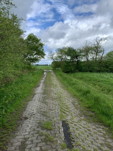 Im Norden von Aurich