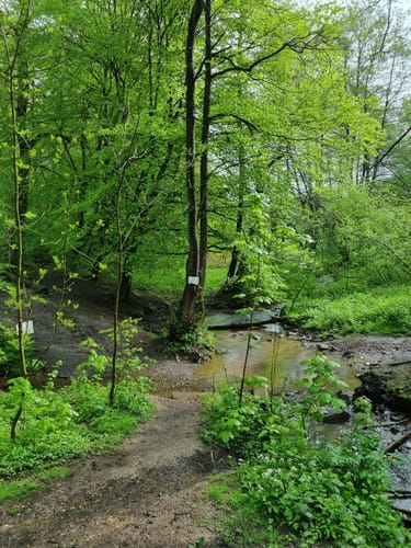 Stall - Ronsdorfer Talsperre Rundweg