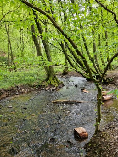 Stall - Ronsdorfer Talsperre Rundweg