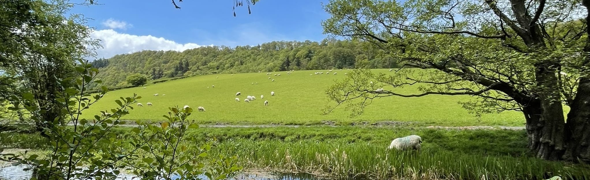 Wern Pool Quay Buttington Guilsfield Circular, Powys, Wales 13