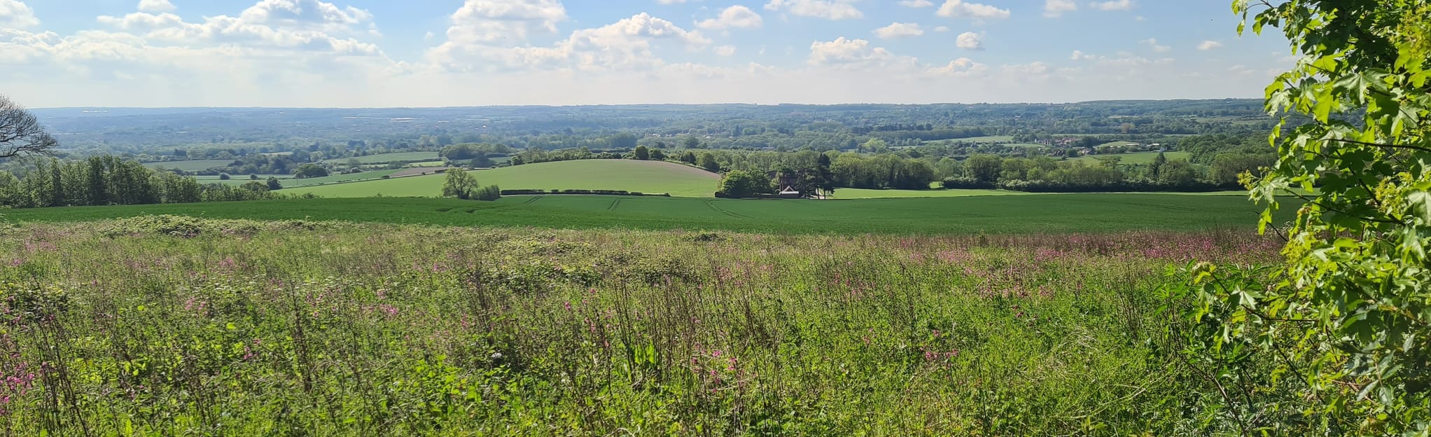 The North Downs Way: Otford to Cuxton - Kent, England | AllTrails
