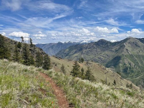 are dogs allowed in hells canyon