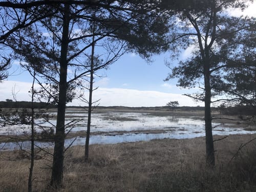 Ø-Camino Fanø Etape 1: Nordby - Sønderho
