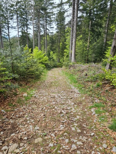 Von Rettenbach zum Aussichtspunkt ins Gäubodental