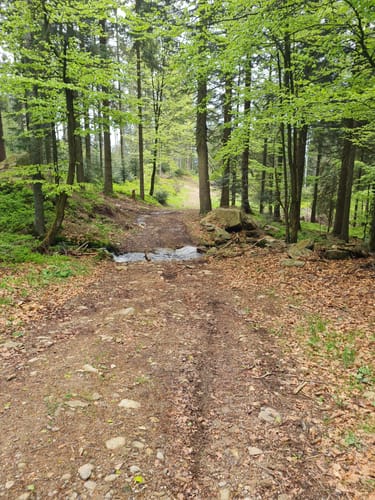 Von Rettenbach zum Aussichtspunkt ins Gäubodental