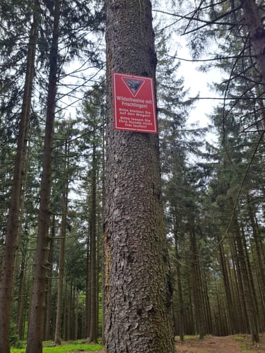 Von Rettenbach zum Aussichtspunkt ins Gäubodental