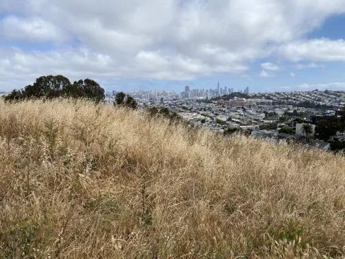 Best San Francisco Hikes (That Are Also Dog Friendly)  Outdoor outfit, Womens  fashion casual, Fashion clothes women