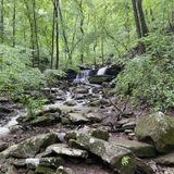 Longpool Falls Trail, Arkansas - 164 Reviews, Map | AllTrails