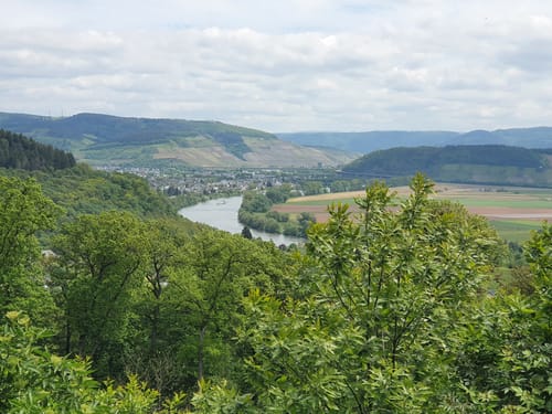 Moselsteig Etappe 5: Trier - Schweich