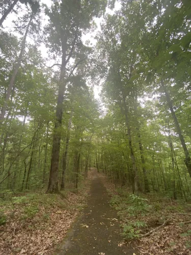 Best Hikes and Trails in Turkey Creek Nature Preserve