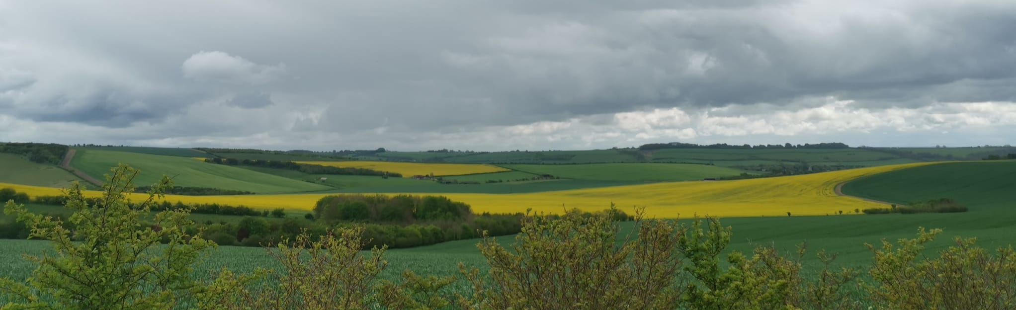Byway and Marlborough Downs Circular, Wiltshire, England - 63 Reviews ...