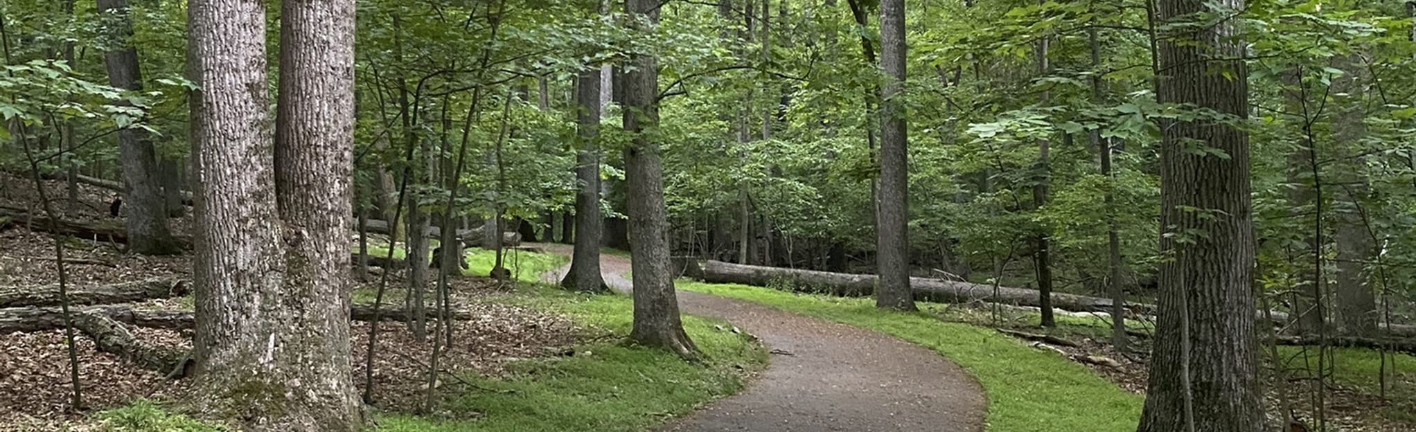 Magruder Branch Trail Map, Guide Maryland AllTrails