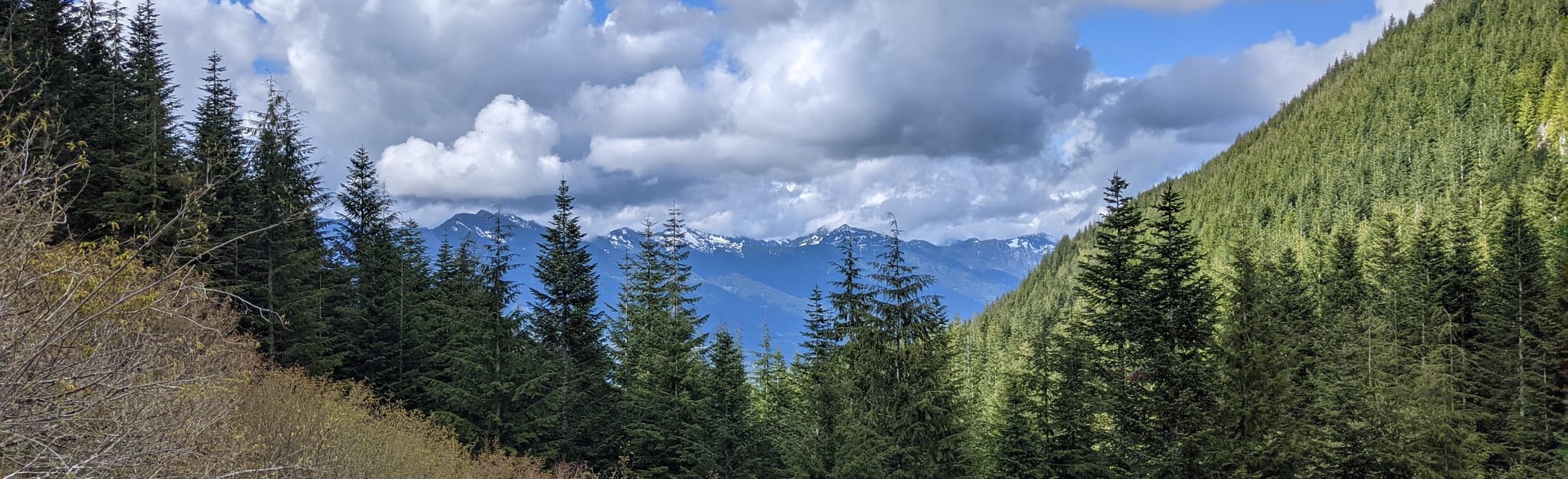 Mount Washington Trail 2 493 Reviews - EyJidWNrZXQiOiJhc3NldHMuYWxsdHJhaWxzLmNvbSIsImtleSI6InVwbG9hZHMvcGhvdG8vaW1hZ2UvMzY4Njg4NzYvNzY1MjE1M2Y1OGQ2ODIxZTlmMGM3MmU0ODFmYzIyMDYuanBnIiwiZWRpdHMiOnsidG9Gb3JtYXQiOiJqcGVnIiwicmVzaXplIjp7IndpZHRoIjoyMDQ0LCJoZWlnaHQiOjYyNCwiZml0IjoiY292ZXIifSwicm90YXRlIjpudWxsLCJqcGVnIjp7InRyZWxsaXNRdWFudGlzYXRpb24iOnRydWUsIm92ZXJzaG9vdERlcmluZ2luZyI6dHJ1ZSwib3B0aW1pc2VTY2FucyI6dHJ1ZSwicXVhbnRpc2F0aW9uVGFibGUiOjN9fX0=