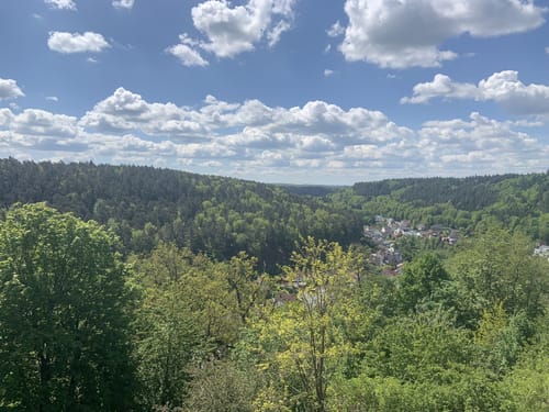 Burg Hohenecken