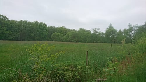 Südheide 'Im Land der Esche' W19l (lange Tour)