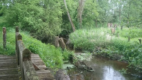 Südheide 'Im Land der Esche' W19l (lange Tour)