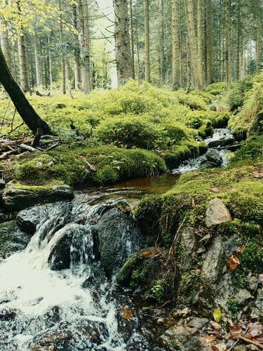 Von Rettenbach zum Aussichtspunkt ins Gäubodental