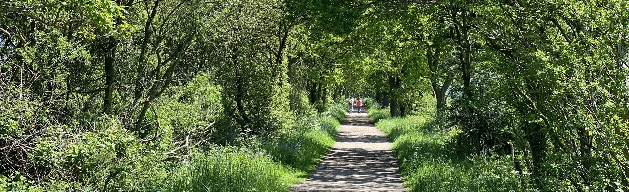 Flitch Way from Station Road - Essex, England | AllTrails