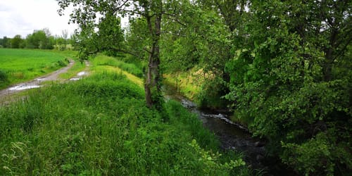 Entlang der Parthe - Vom Großbothen nach Naunhof