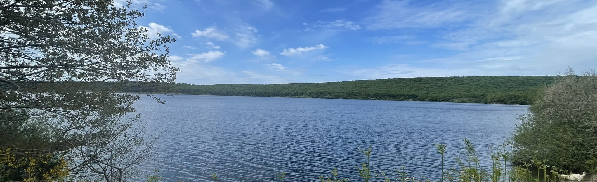 Lac de Laprade Entre Forêts et Tourbières 16 Fotos Aude, France