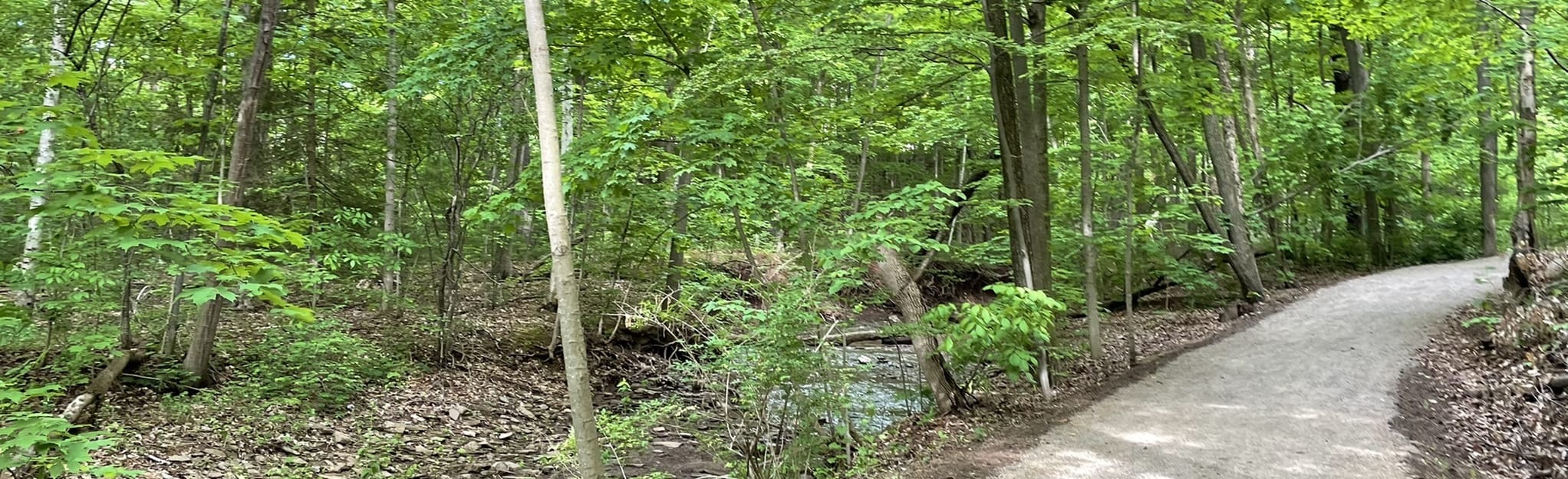 Morrison Valley Trail, Ontario, Canada 240 Reviews, Map AllTrails