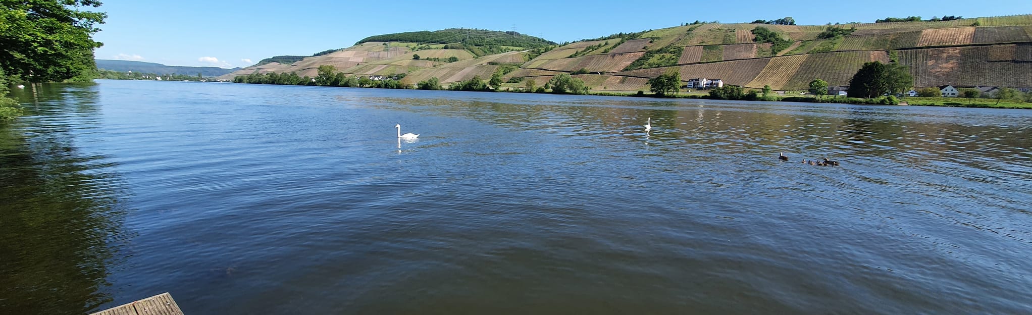Von Longuich nach Riol | Map, Guide - Rhineland-Palatinate, Germany ...