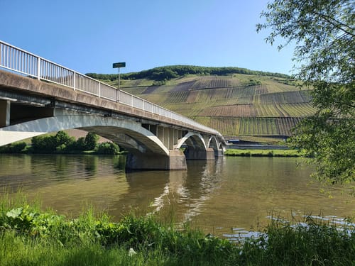 Von Longuich zur Weinbergschleife