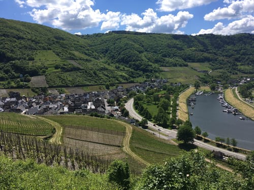 Moselsteig Etappe 17: Ediger-Eller - Beilstein
