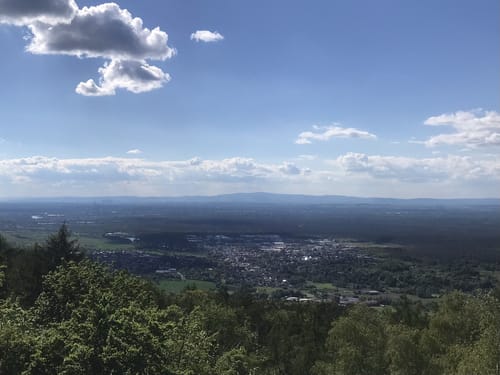 Alzenau 2 : Wald und Wallfahrt