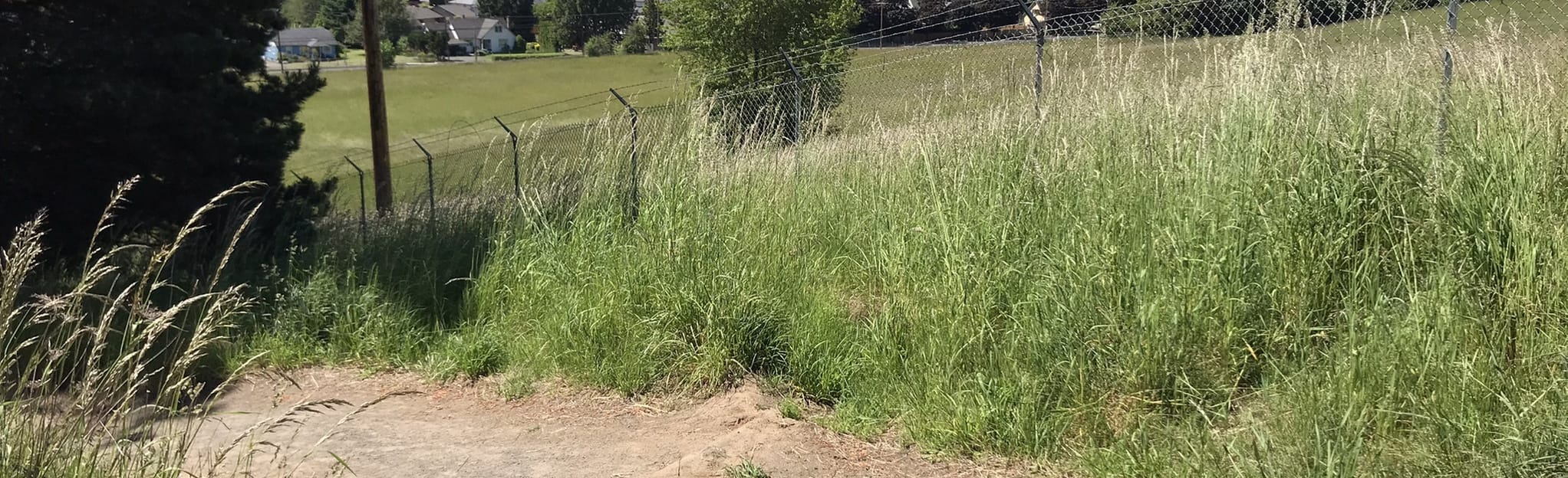 Hazel Dell Loop 41 Reviews, Map Washington AllTrails