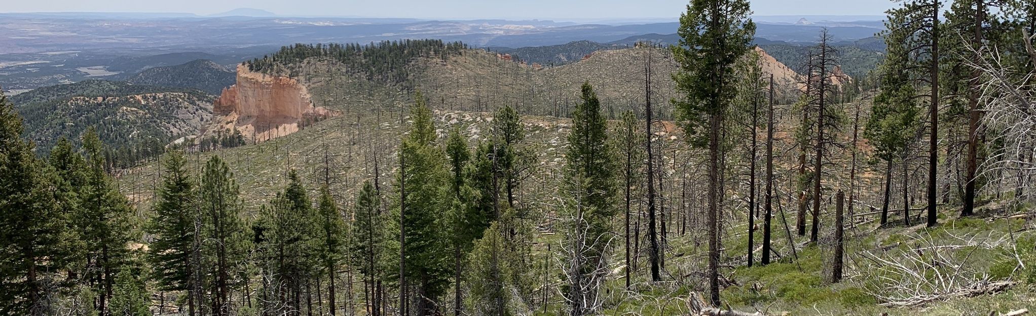 Whiteman Bench to Mud Canyon Spring, Utah - 42 Reviews, Map | AllTrails