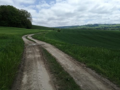 Panoramaweg Quentel