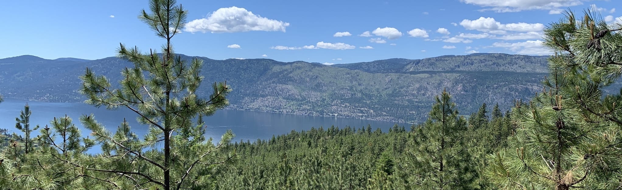 Spion Kop via Paintbrush and Tower, British Columbia, Canada 231