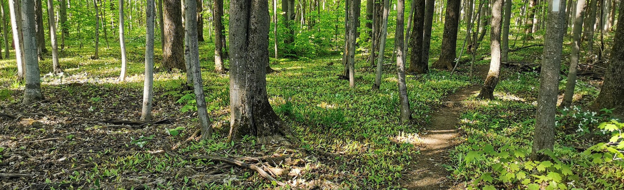 Duntroon View Side Trail 46 Reviews, Map Ontario, Canada AllTrails