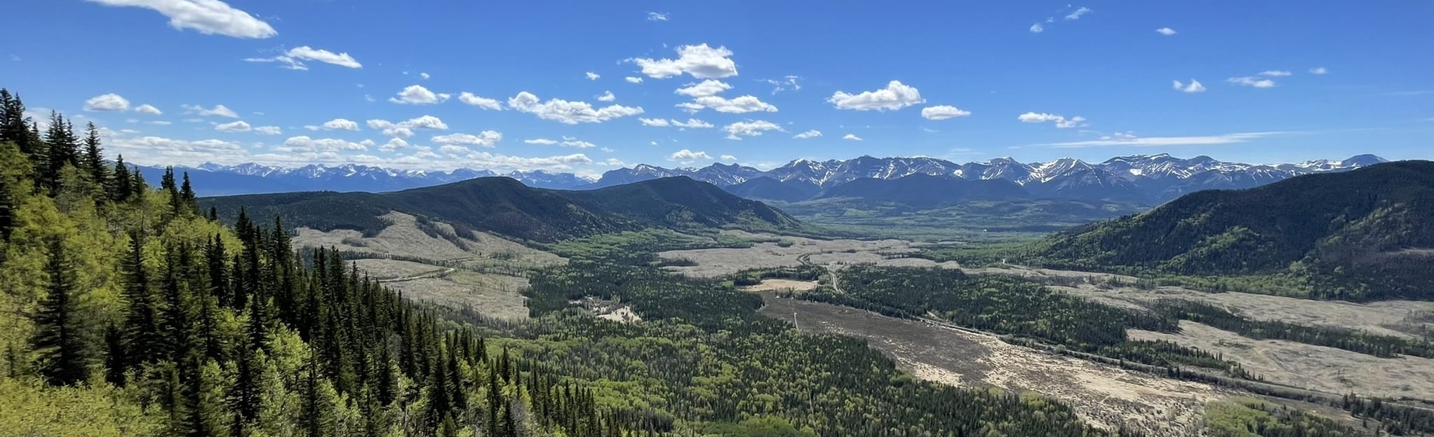Athabasca Lookout Trail 353 foto Alberta, Canada AllTrails